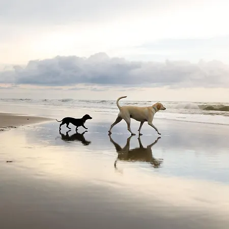 Vakantiehuis Maris - Part Of The The Bay Village With Pool, Gym And Direct Access, Pub, Restaurant, Tennis And Meadows Walks *