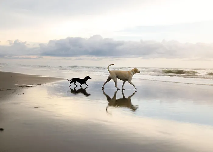 Hébergement de vacances Maris - Part Of The The Bay Village With Pool, Gym And Direct Access, Pub, Restaurant, Tennis And Meadows Walks *